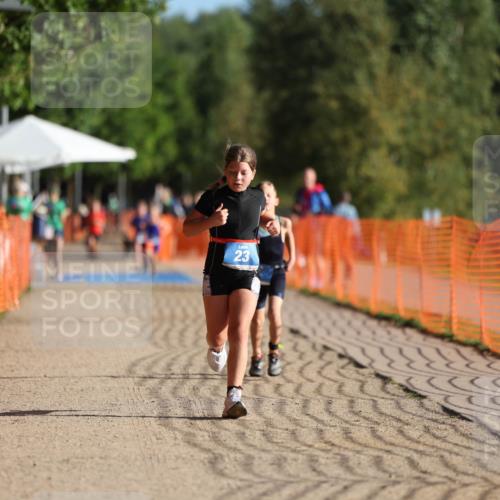 07.09.2025 - 19. Norderstedt Triathlon Michael Strokosch http://msf.ph/oto/8801053 07.09.2025 09:15:10 Laufen 2, 23 meine-sportfotos.de