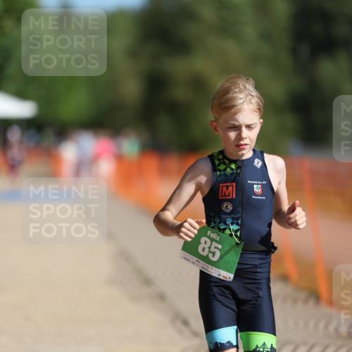 07.09.2025 - 19. Norderstedt Triathlon Michael Strokosch http://msf.ph/oto/8801633 07.09.2025 10:58:53 Laufen 85, 1113 meine-sportfotos.de