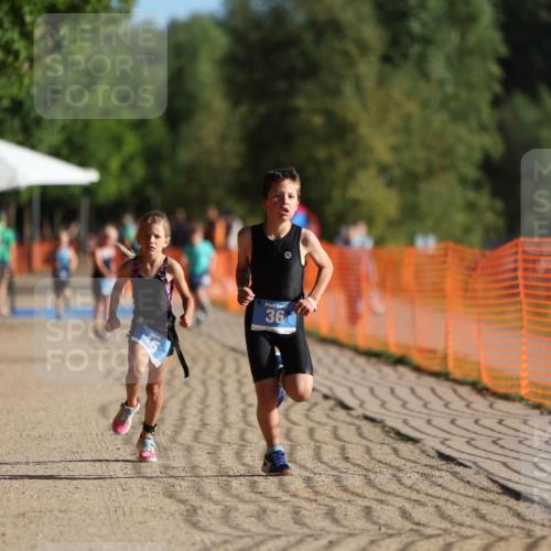 07.09.2025 - 19. Norderstedt Triathlon Michael Strokosch http://msf.ph/oto/8801985 07.09.2025 09:16:22 Laufen 6, 15, 36, 40 meine-sportfotos.de