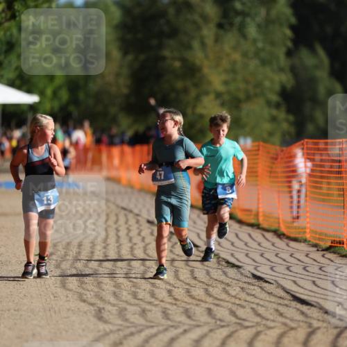07.09.2025 - 19. Norderstedt Triathlon Michael Strokosch http://msf.ph/oto/8802120 07.09.2025 09:16:33 Laufen 8, 13, 47 meine-sportfotos.de