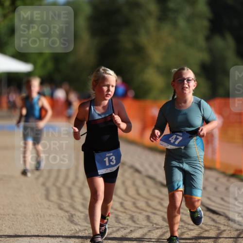 07.09.2025 - 19. Norderstedt Triathlon Michael Strokosch http://msf.ph/oto/8802173 07.09.2025 09:16:36 Laufen 8, 13, 47, 48 meine-sportfotos.de