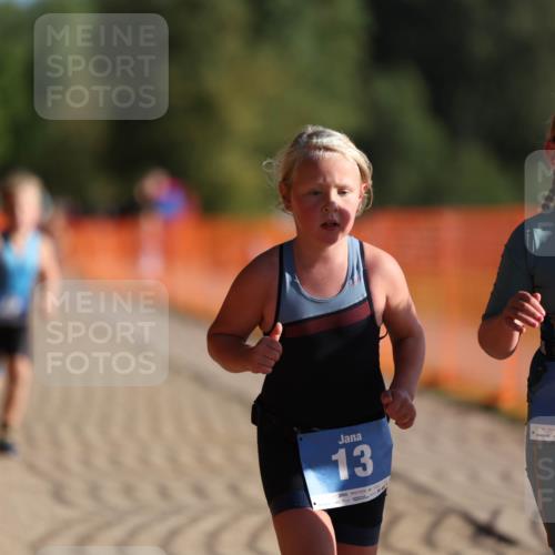 07.09.2025 - 19. Norderstedt Triathlon Michael Strokosch http://msf.ph/oto/8802210 07.09.2025 09:16:38 Laufen 8, 13, 47, 48 meine-sportfotos.de