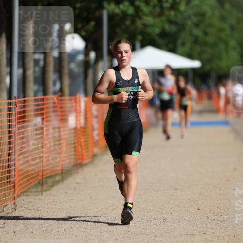 07.09.2025 - 19. Norderstedt Triathlon Michael Strokosch http://msf.ph/oto/8802312 07.09.2025 10:59:55 Laufen 61, 681, 683 meine-sportfotos.de
