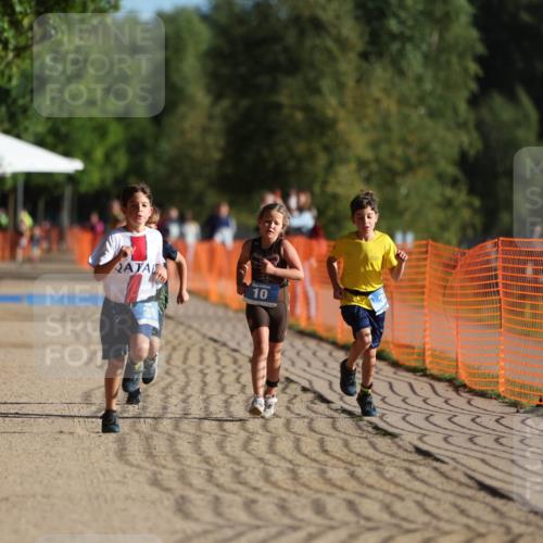07.09.2025 - 19. Norderstedt Triathlon Michael Strokosch http://msf.ph/oto/8802473 07.09.2025 09:17:03 Laufen 10, 24, 31, 32 meine-sportfotos.de