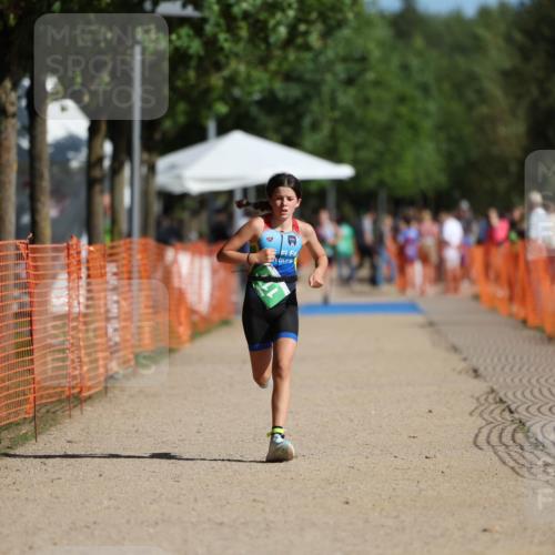07.09.2025 - 19. Norderstedt Triathlon Michael Strokosch http://msf.ph/oto/8803384 07.09.2025 11:01:44 Laufen 74, 111 meine-sportfotos.de