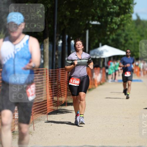 07.09.2025 - 19. Norderstedt Triathlon Michael Strokosch http://msf.ph/oto/8803630 07.09.2025 12:35:05 Laufen 251, 838, 1286, 1371 meine-sportfotos.de