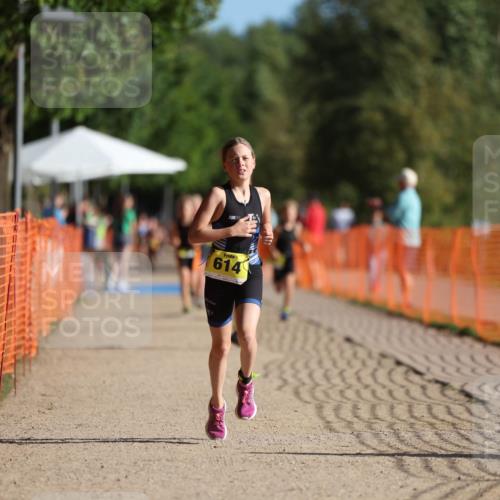 07.09.2025 - 19. Norderstedt Triathlon Michael Strokosch http://msf.ph/oto/8804677 07.09.2025 09:44:26 Laufen 566, 614 meine-sportfotos.de