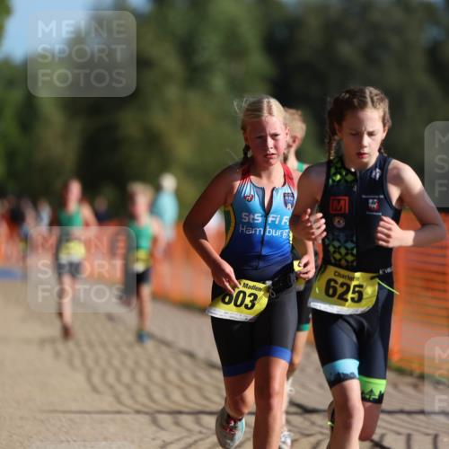 07.09.2025 - 19. Norderstedt Triathlon Michael Strokosch http://msf.ph/oto/8804917 07.09.2025 09:44:39 Laufen 559, 601, 603, 607, 623, 625, 629 meine-sportfotos.de