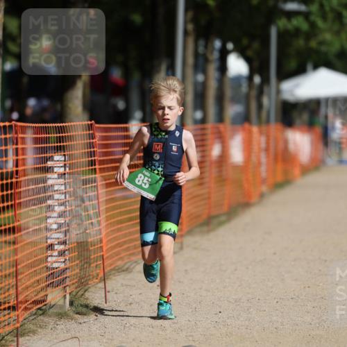 07.09.2025 - 19. Norderstedt Triathlon Michael Strokosch http://msf.ph/oto/8805838 07.09.2025 11:12:39 Laufen 85 meine-sportfotos.de