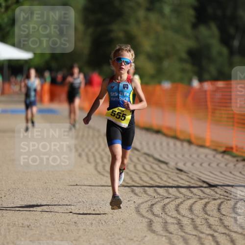 07.09.2025 - 19. Norderstedt Triathlon Michael Strokosch http://msf.ph/oto/8806070 07.09.2025 09:46:16 Laufen 555, 597 meine-sportfotos.de
