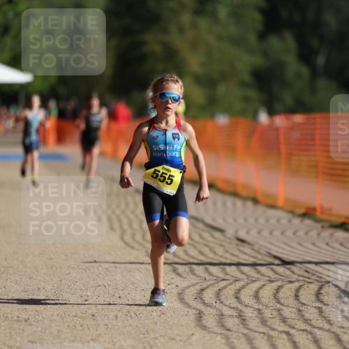 07.09.2025 - 19. Norderstedt Triathlon Michael Strokosch http://msf.ph/oto/8806076 07.09.2025 09:46:16 Laufen 555, 597 meine-sportfotos.de