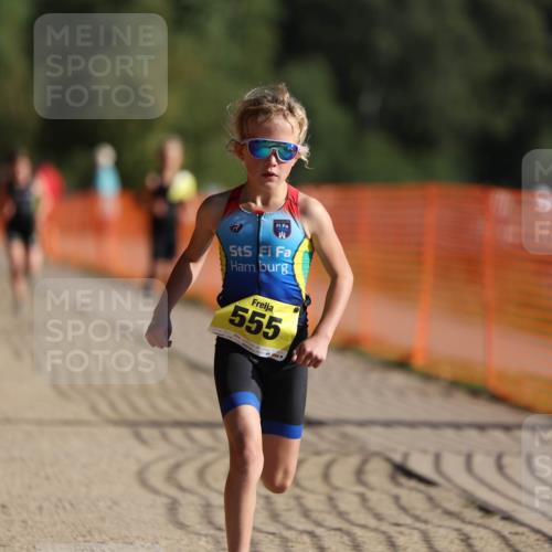 07.09.2025 - 19. Norderstedt Triathlon Michael Strokosch http://msf.ph/oto/8806106 07.09.2025 09:46:18 Laufen 555, 584, 597 meine-sportfotos.de