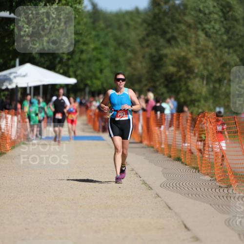 07.09.2025 - 19. Norderstedt Triathlon Michael Strokosch http://msf.ph/oto/8806111 07.09.2025 12:08:58 Laufen 793, 806, 1244 meine-sportfotos.de