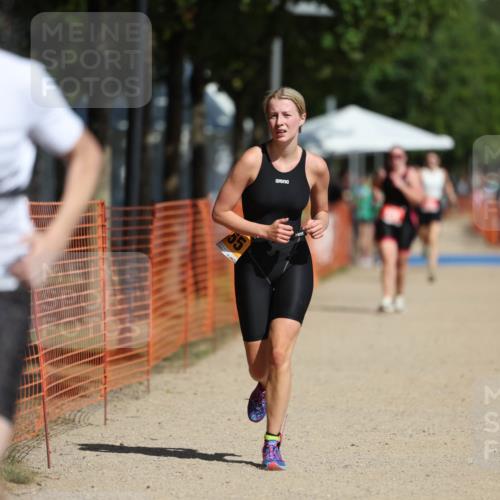 07.09.2025 - 19. Norderstedt Triathlon Michael Strokosch http://msf.ph/oto/8806870 07.09.2025 12:10:49 Laufen 300, 1155 meine-sportfotos.de