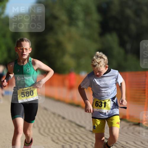 07.09.2025 - 19. Norderstedt Triathlon Michael Strokosch http://msf.ph/oto/8807266 07.09.2025 09:48:19 Laufen 579, 580, 631 meine-sportfotos.de