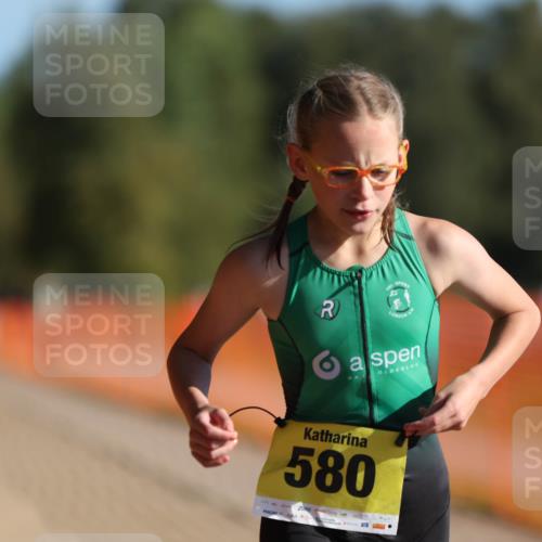 07.09.2025 - 19. Norderstedt Triathlon Michael Strokosch http://msf.ph/oto/8807294 07.09.2025 09:48:21 Laufen 579, 580, 631 meine-sportfotos.de