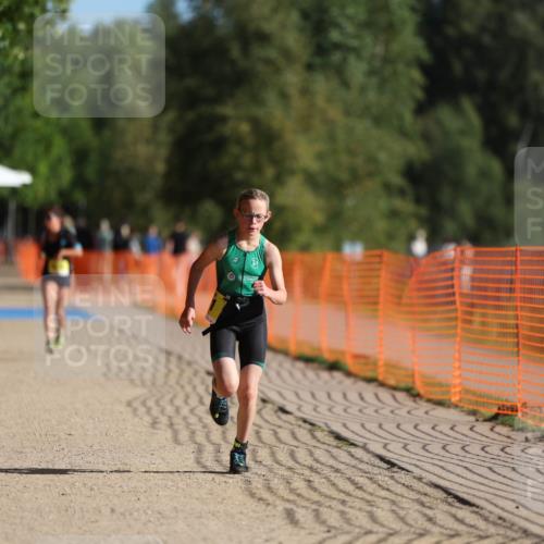 07.09.2025 - 19. Norderstedt Triathlon Michael Strokosch http://msf.ph/oto/8807618 07.09.2025 09:49:03 Laufen 560, 581 meine-sportfotos.de