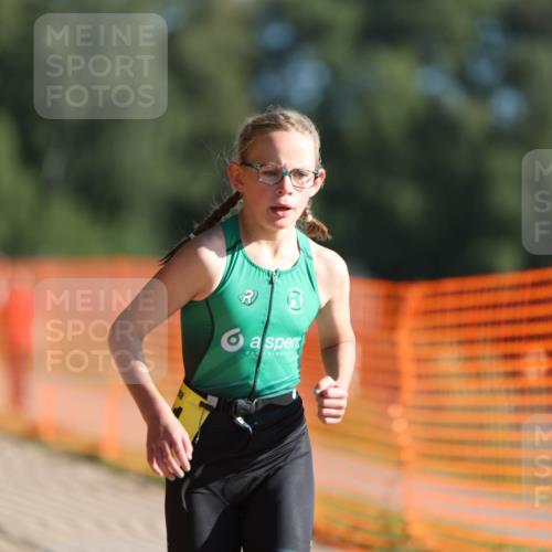 07.09.2025 - 19. Norderstedt Triathlon Michael Strokosch http://msf.ph/oto/8807675 07.09.2025 09:49:07 Laufen 560, 581 meine-sportfotos.de