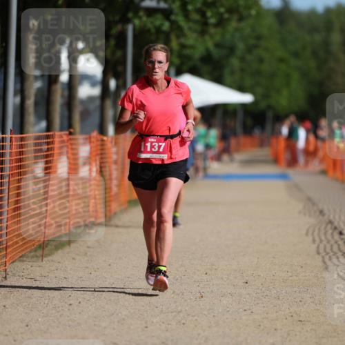 07.09.2025 - 19. Norderstedt Triathlon Michael Strokosch http://msf.ph/oto/8809560 07.09.2025 10:37:08 Laufen 1137 meine-sportfotos.de
