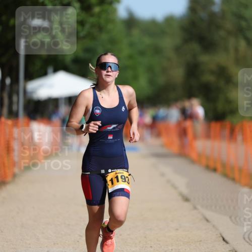 07.09.2025 - 19. Norderstedt Triathlon Michael Strokosch http://msf.ph/oto/8810810 07.09.2025 11:39:41 Laufen 1193 meine-sportfotos.de