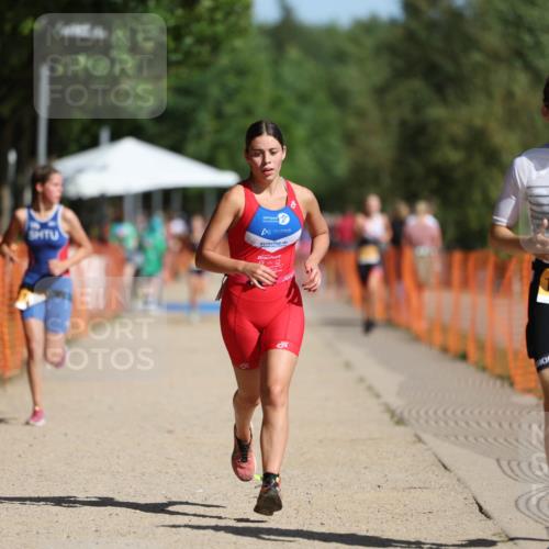 07.09.2025 - 19. Norderstedt Triathlon Michael Strokosch http://msf.ph/oto/8811435 07.09.2025 11:40:25 Laufen 1185, 1189, 1194 meine-sportfotos.de