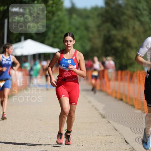 07.09.2025 - 19. Norderstedt Triathlon Michael Strokosch http://msf.ph/oto/8811442 07.09.2025 11:40:26 Laufen 1185, 1189, 1194 meine-sportfotos.de
