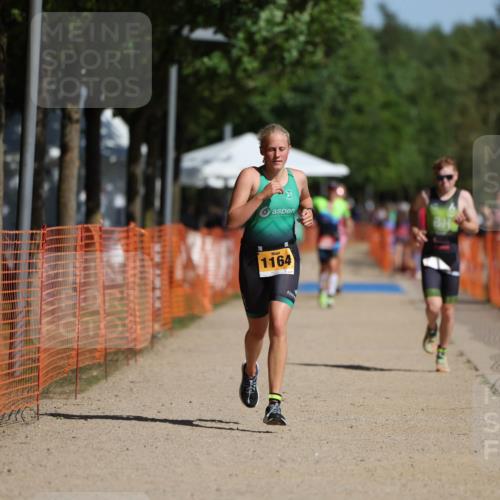 07.09.2025 - 19. Norderstedt Triathlon Michael Strokosch http://msf.ph/oto/8812577 07.09.2025 11:41:59 Laufen 1164, 1180, 1183 meine-sportfotos.de