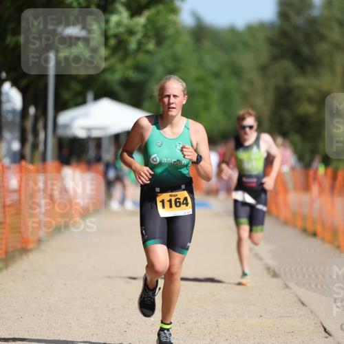 07.09.2025 - 19. Norderstedt Triathlon Michael Strokosch http://msf.ph/oto/8812603 07.09.2025 11:42:00 Laufen 1164, 1180, 1183 meine-sportfotos.de