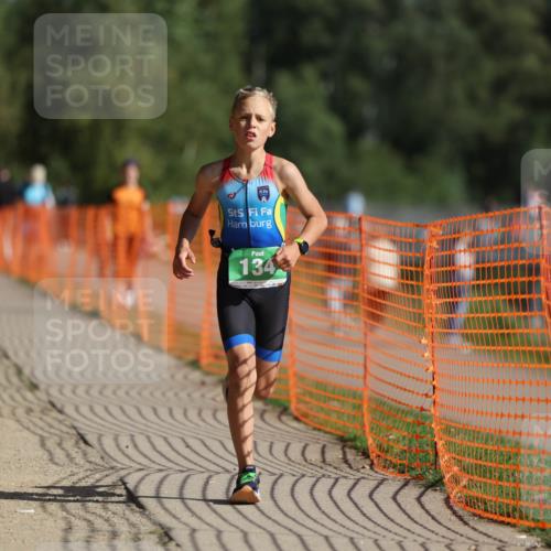 07.09.2025 - 19. Norderstedt Triathlon Michael Strokosch http://msf.ph/oto/8813333 07.09.2025 10:44:12 Laufen 96, 134 meine-sportfotos.de