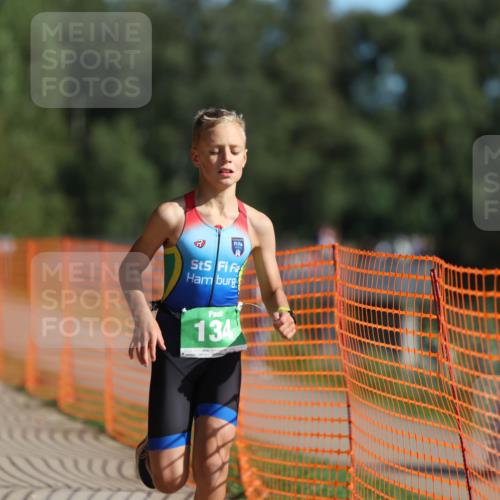 07.09.2025 - 19. Norderstedt Triathlon Michael Strokosch http://msf.ph/oto/8813363 07.09.2025 10:44:13 Laufen 96, 134 meine-sportfotos.de