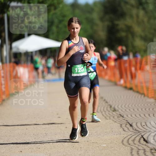 07.09.2025 - 19. Norderstedt Triathlon Michael Strokosch http://msf.ph/oto/8818166 07.09.2025 10:49:21 Laufen 79, 111, 120 meine-sportfotos.de