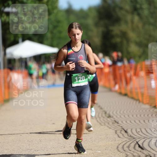 07.09.2025 - 19. Norderstedt Triathlon Michael Strokosch http://msf.ph/oto/8818172 07.09.2025 10:49:21 Laufen 79, 111, 120 meine-sportfotos.de