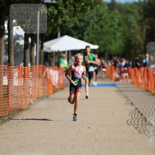 07.09.2025 - 19. Norderstedt Triathlon Michael Strokosch http://msf.ph/oto/8818972 07.09.2025 10:51:03 Laufen 75, 80, 663, 687 meine-sportfotos.de