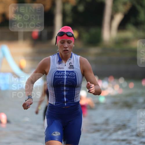 14.09.2025 - Stadtparktriathlon Michael Strokosch http://msf.ph/oto/8870100 14.09.2025 11:11:51 Schwimmen 955, 985, 987, 992 meine-sportfotos.de