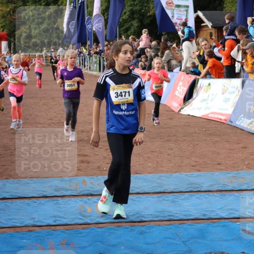 14.09.2025 - Airport Race Strokosch-Dieckow http://msf.ph/oto/8883594 14.09.2025 10:28:54 Ziel 3025, 3051, 3052, 3326, 3329, 3331, 3341, 3352, 3387, 3393, 3458, 3471, 3488, 3575, 3580, 3581, 3606, 3722 meine-sportfotos.de