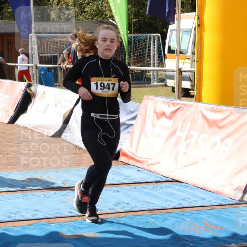 14.09.2025 - Airport Race Strokosch-Dieckow http://msf.ph/oto/8885341 14.09.2025 12:50:08 Ziel 772, 1144, 1778, 1947 meine-sportfotos.de