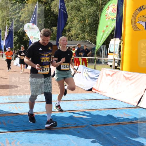 14.09.2025 - Airport Race Strokosch-Dieckow http://msf.ph/oto/8885947 14.09.2025 12:51:56 Ziel 317, 1637, 1981, 2013, 4212, 4262 meine-sportfotos.de