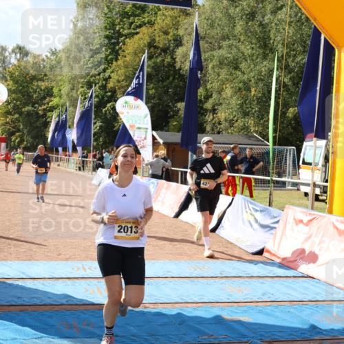 14.09.2025 - Airport Race Strokosch-Dieckow http://msf.ph/oto/8885991 14.09.2025 12:51:59 Ziel 317, 1637, 1981, 2013, 4212, 4262 meine-sportfotos.de