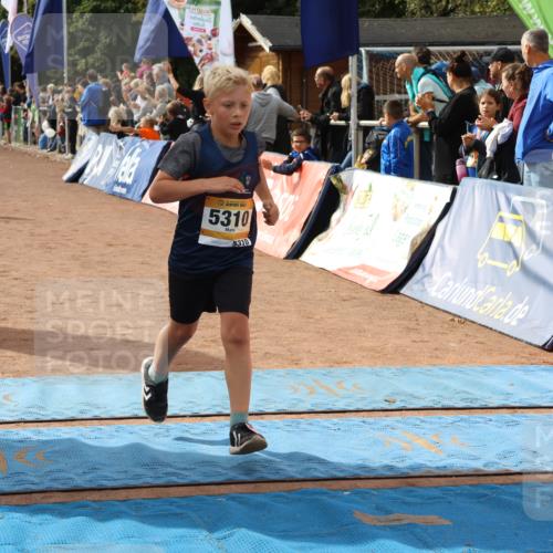 14.09.2025 - Airport Race Strokosch-Dieckow http://msf.ph/oto/8893333 14.09.2025 12:04:56 Ziel 4264, 5140, 5310, 5339, 5521 meine-sportfotos.de