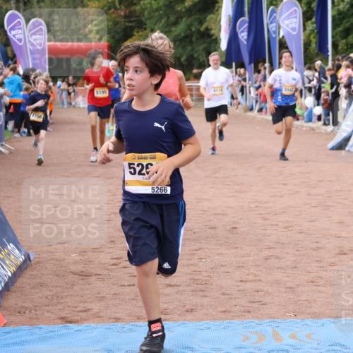 14.09.2025 - Airport Race Strokosch-Dieckow http://msf.ph/oto/8893562 14.09.2025 12:06:11 Ziel 276, 4118, 4142, 4191, 4398, 5083, 5195, 5266, 5539, 5542 meine-sportfotos.de