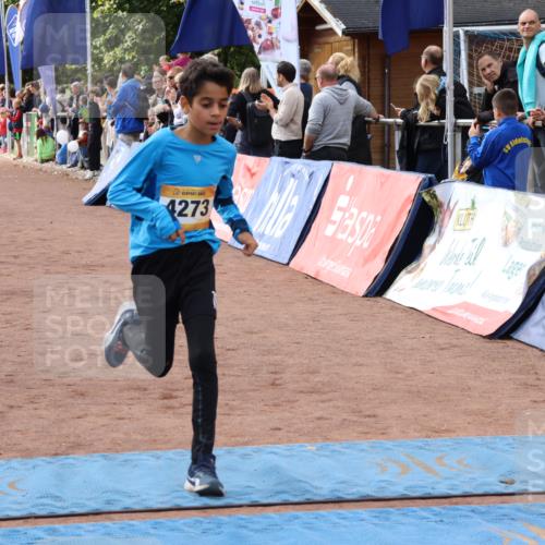 14.09.2025 - Airport Race Strokosch-Dieckow http://msf.ph/oto/8893578 14.09.2025 12:06:30 Ziel 1123, 4071, 4171, 4255, 4273, 5092, 5278, 5333 meine-sportfotos.de