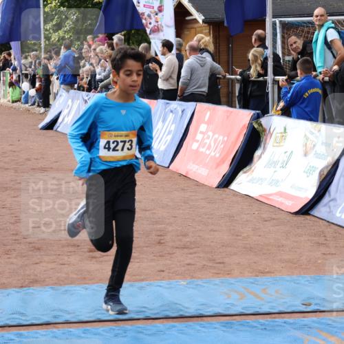 14.09.2025 - Airport Race Strokosch-Dieckow http://msf.ph/oto/8893579 14.09.2025 12:06:30 Ziel 1123, 4071, 4171, 4255, 4273, 5092, 5278, 5333 meine-sportfotos.de