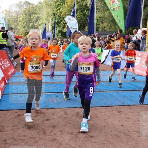 14.09.2025 - Airport Race Strokosch-Dieckow http://msf.ph/oto/8915969 14.09.2025 11:20:48 Ziel 7056, 7114, 7120, 7165, 600, 7031, 7022 meine-sportfotos.de