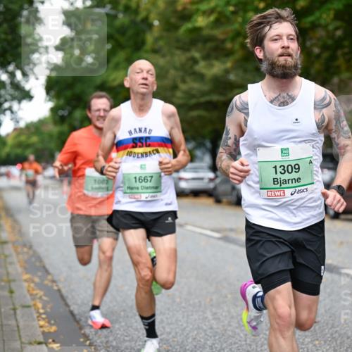 21.09.2025 - PSD Bank Halbmarathon Dr. Thomas Lammeyer http://msf.ph/oto/8916786 21.09.2025 10:30:58 Laufen 1083, 1667, 1309 meine-sportfotos.de