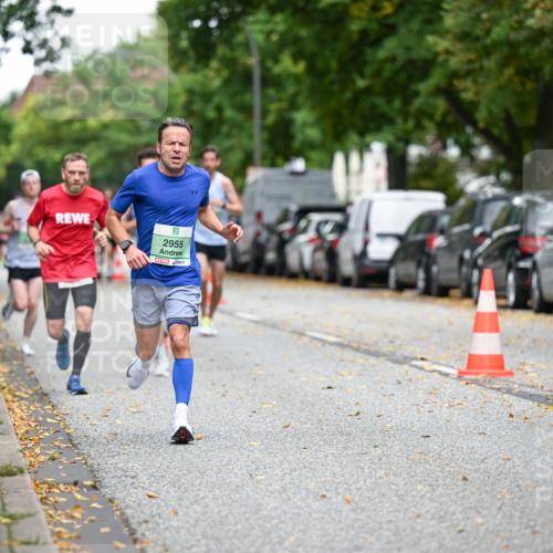 21.09.2025 - PSD Bank Halbmarathon Dr. Thomas Lammeyer http://msf.ph/oto/8917042 21.09.2025 10:32:11 Laufen 2955 meine-sportfotos.de
