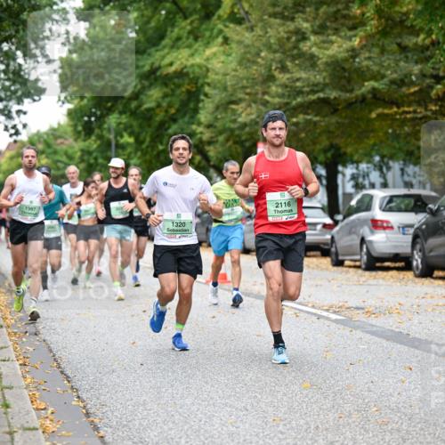 21.09.2025 - PSD Bank Halbmarathon Dr. Thomas Lammeyer http://msf.ph/oto/8918931 21.09.2025 10:36:42 Laufen 1997, 1320, 2116 meine-sportfotos.de