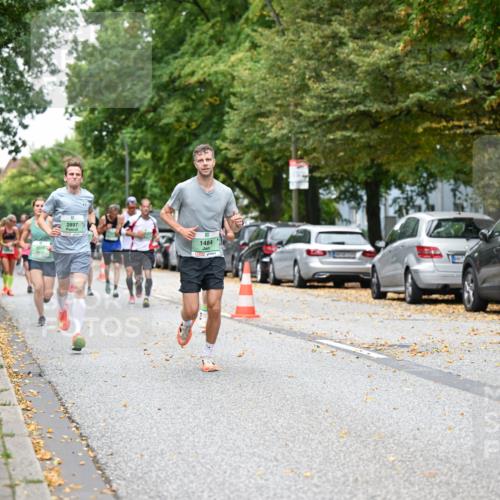 21.09.2025 - PSD Bank Halbmarathon Dr. Thomas Lammeyer http://msf.ph/oto/8919030 21.09.2025 10:36:52 Laufen 2015, 2897, 1484 meine-sportfotos.de