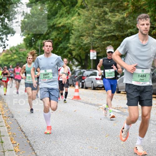 21.09.2025 - PSD Bank Halbmarathon Dr. Thomas Lammeyer http://msf.ph/oto/8919053 21.09.2025 10:36:54 Laufen 201, 2897, 1333, 1484 meine-sportfotos.de