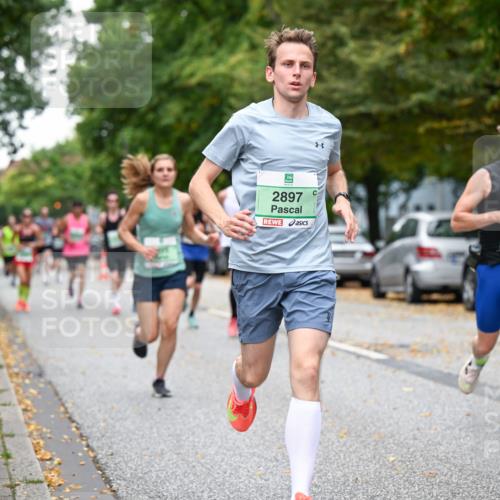 21.09.2025 - PSD Bank Halbmarathon Dr. Thomas Lammeyer http://msf.ph/oto/8919065 21.09.2025 10:36:56 Laufen 8, 2897, 1333 meine-sportfotos.de
