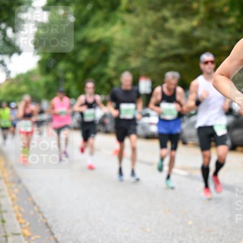 21.09.2025 - PSD Bank Halbmarathon Dr. Thomas Lammeyer http://msf.ph/oto/8919091 21.09.2025 10:36:58 Laufen 2015 meine-sportfotos.de